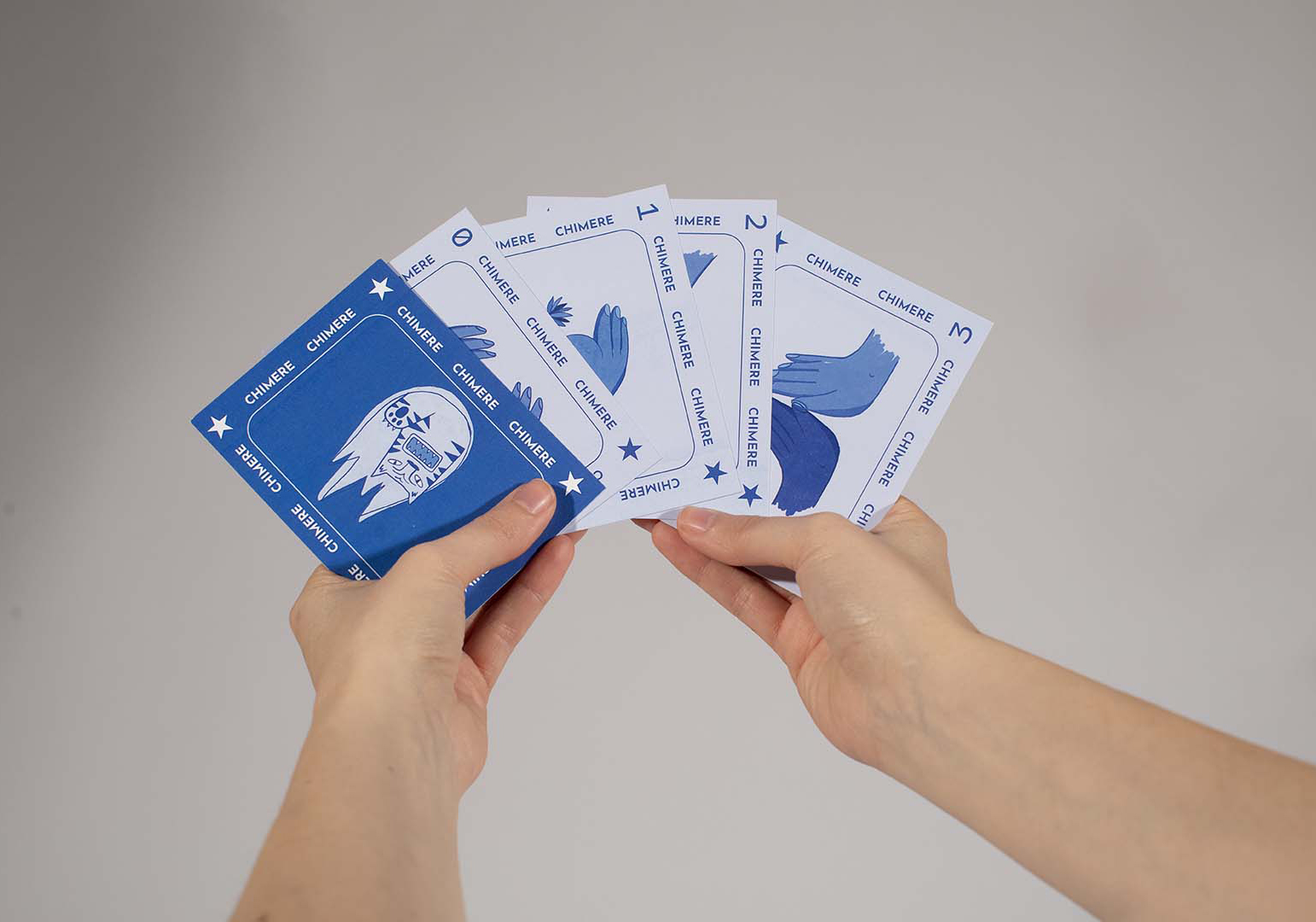 Foto del progetto Chimere