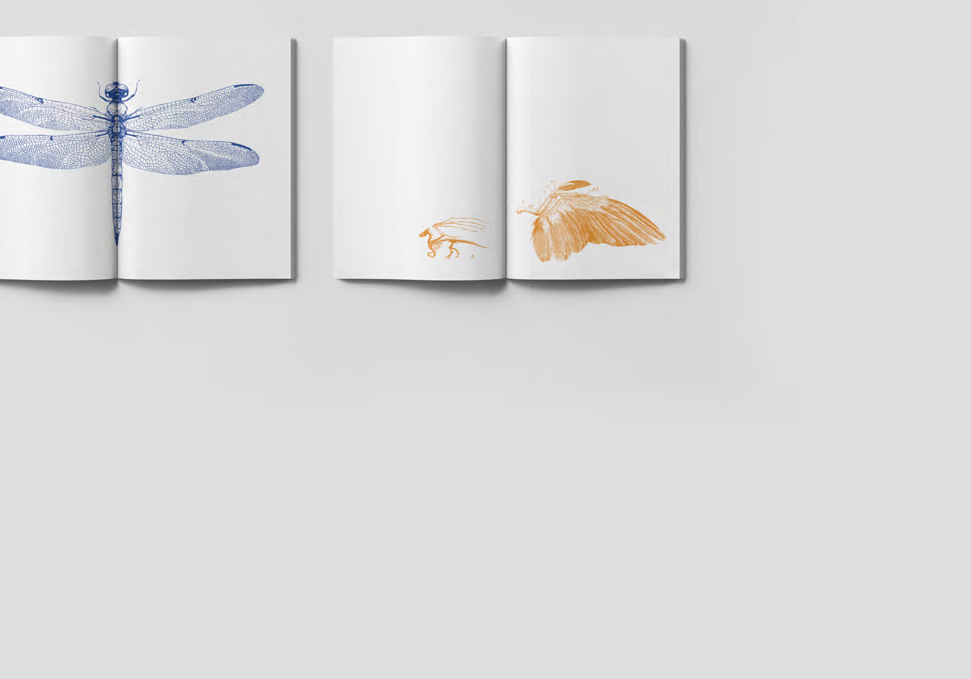 Foto del progetto Victims